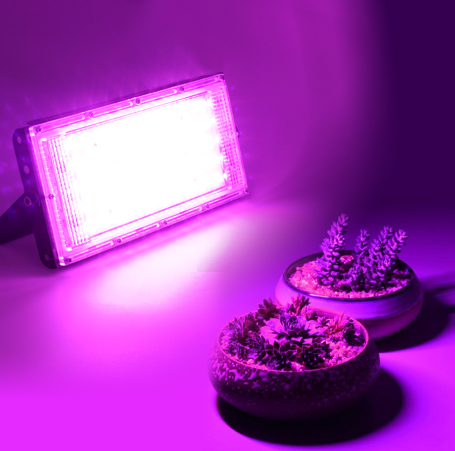 Фитолампа-прожектор 50 LED 210х92 мм для растений и рассады 50 Вт с проволокой и выключателем - фото 3 Фитолампа-прожектор 50 LED 210х92 мм для растений и рассады 50 Вт с проволокой и выключателем - фото 3