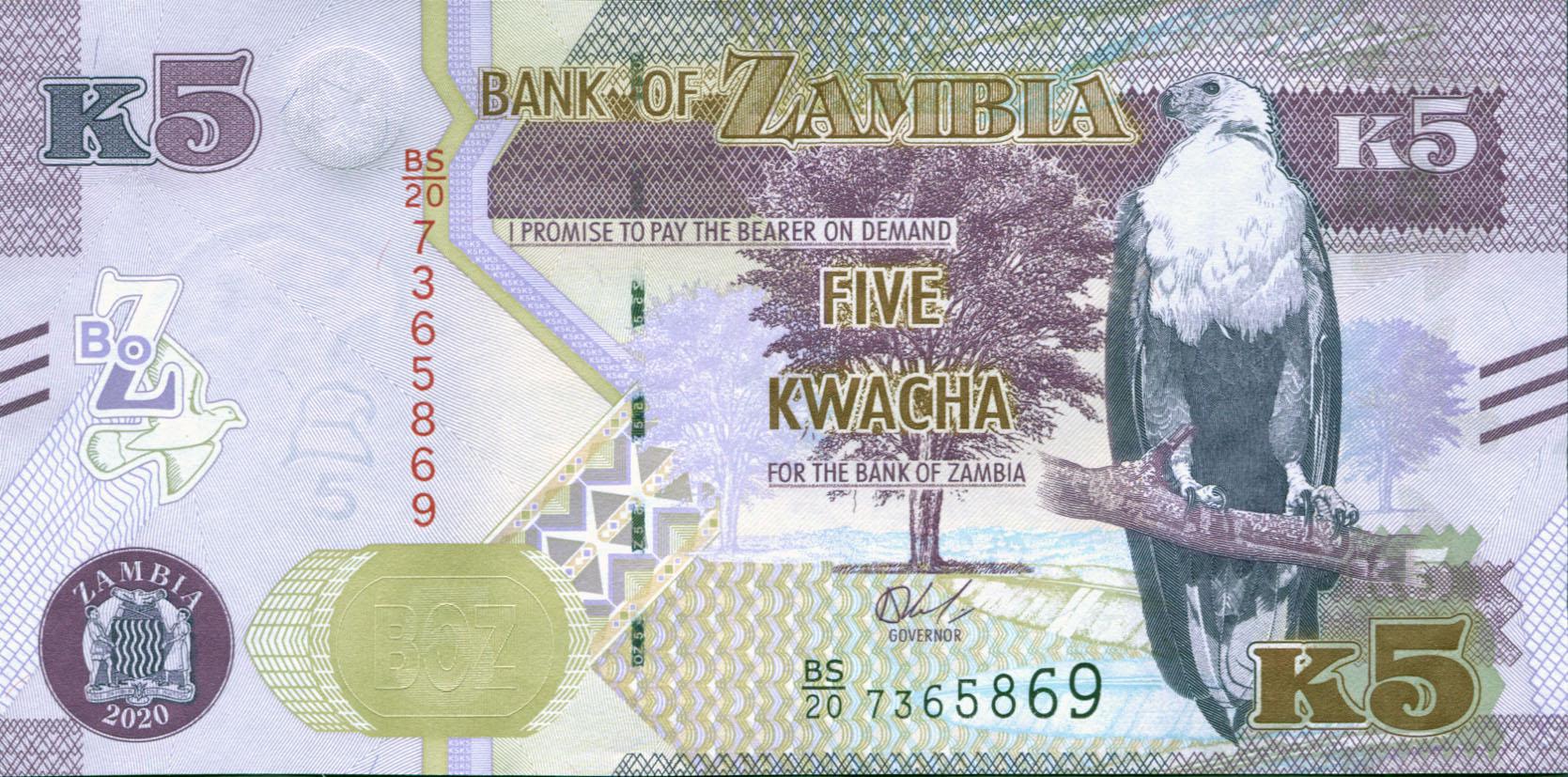 Коллекционная банкнота Замбия 2020 5 квач UNC
