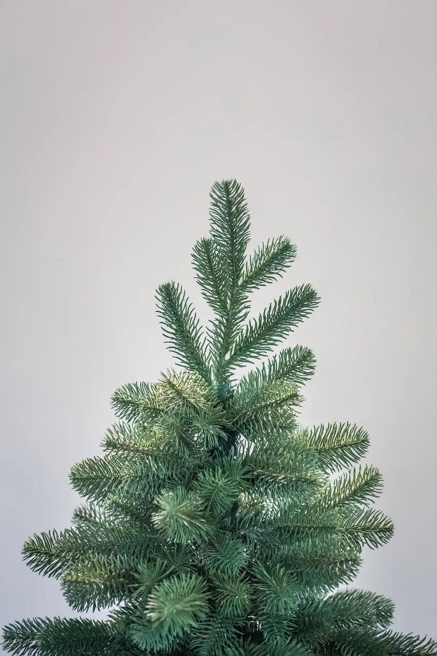 Искусственная елка литая Роял 1,8 м (12914062) - фото 3