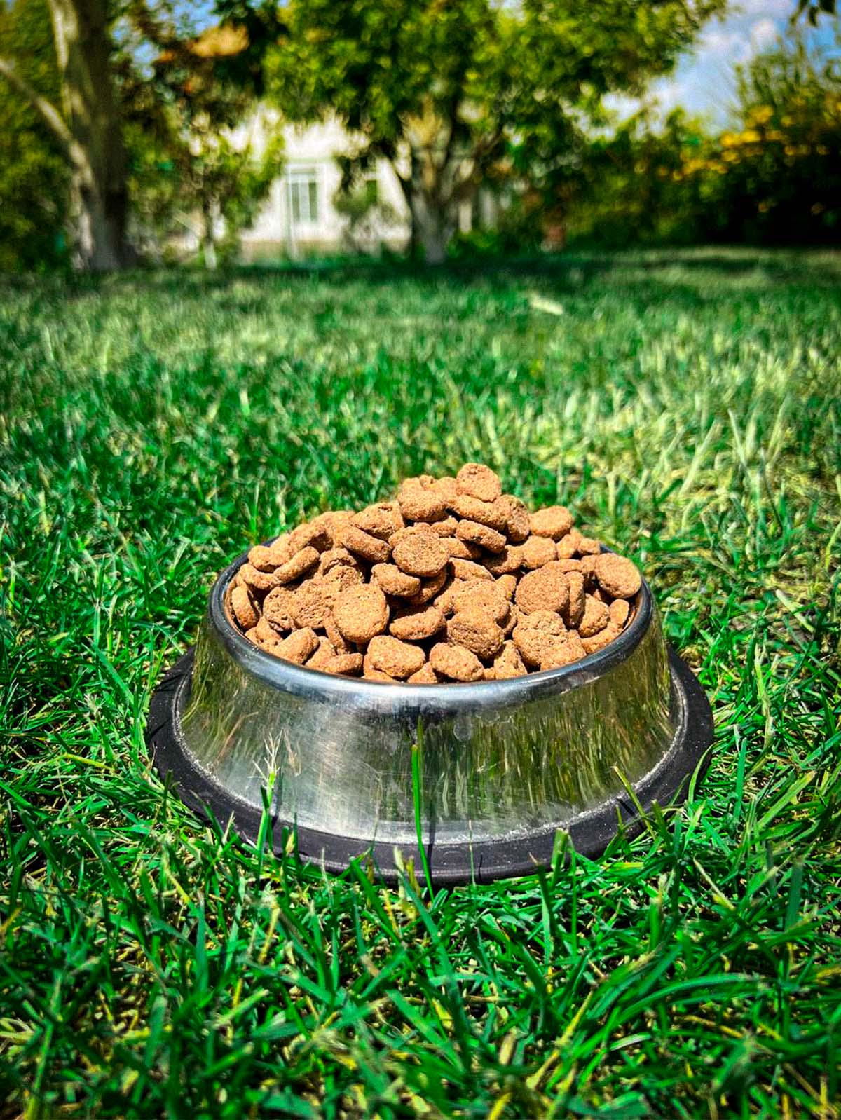 Сухой корм для собак Pamax Bodri полноценный со вкусом говядины 30 кг 3 шт. (425017236) - фото 4