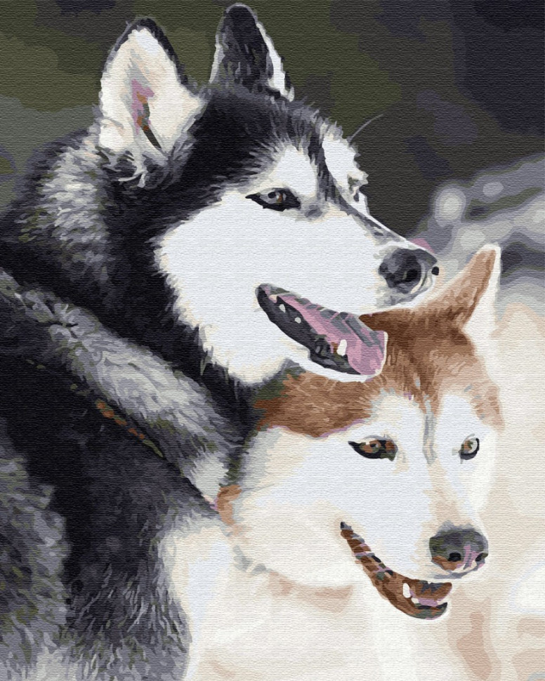 Картина за номерами Brushme Хаскі (GX28714)