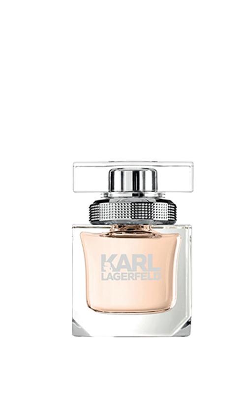 Парфум для жінок Karl Lagerfeld KARL LAGERFELD 45 мл (7427)