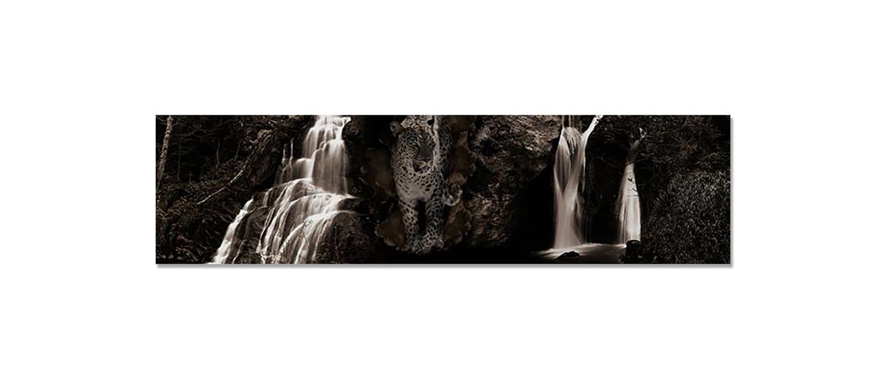 Наклейка виниловая на кухню Zatarga Леопард и Водопад 650х2500 мм (1289776214) Наклейка виниловая на кухню Zatarga Леопард и Водопад 650х2500 мм (1289776214)