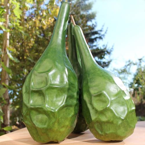 Насіння лагенарії Маренко Динозавр Marenca dinosaur 3 шт. - фото 2