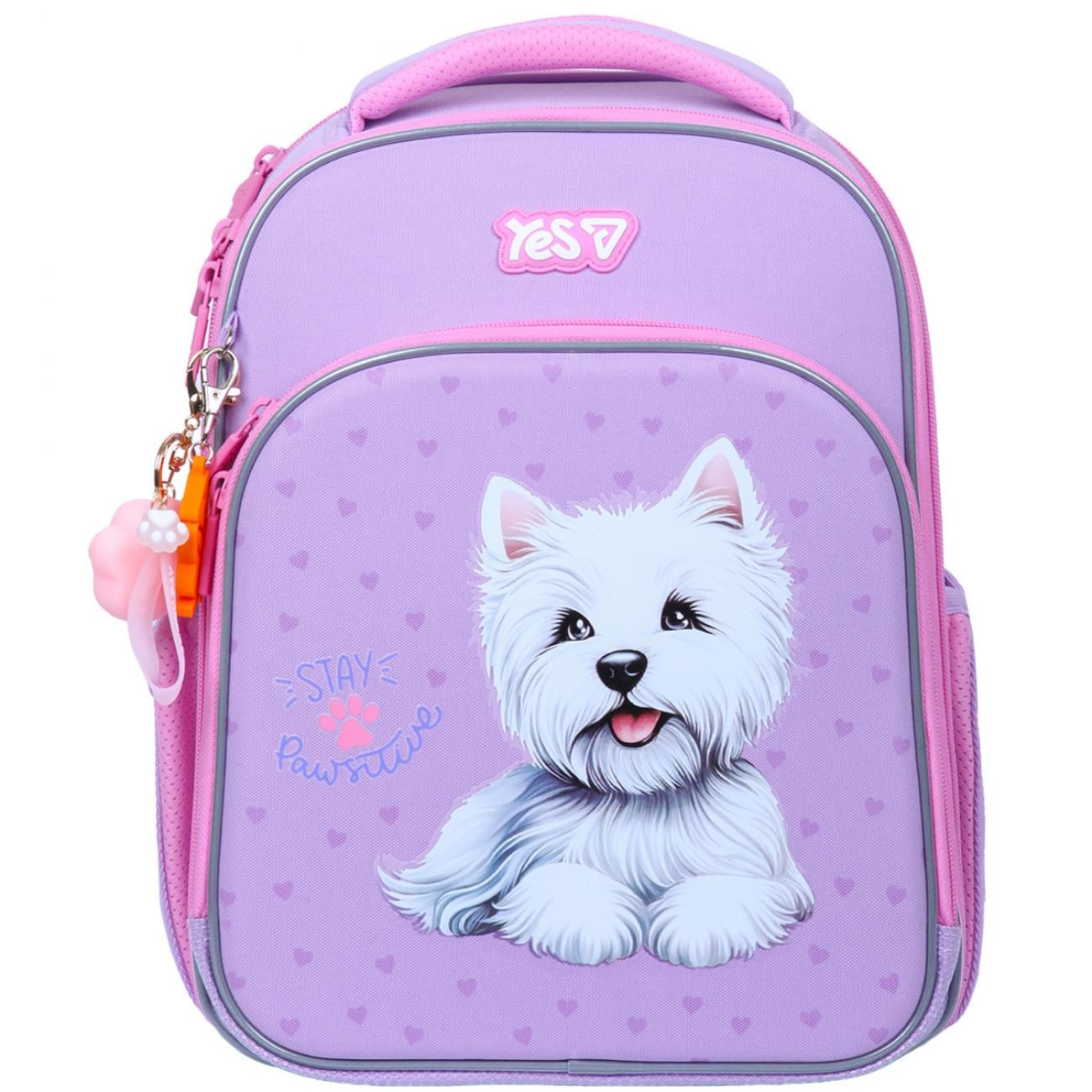 Рюкзак школьный каркасный YES Stay Pawesome S-78M (550226)