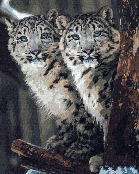 Картина по номерам Идейка Скрытое наблюдение 40х50 см в термопакете (КНО4311-mt)