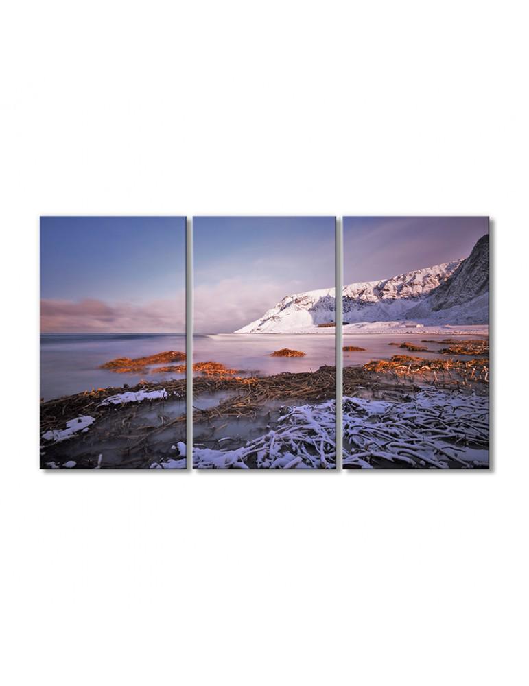 Картина модульная Полярная шапка 3 модуля 60x90 см