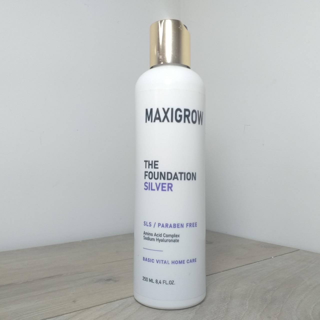 Бальзам для пошкодженого волосся MAXIGROW THE FOUNDATION SILVER 250 мл (X-267) - фото 3
