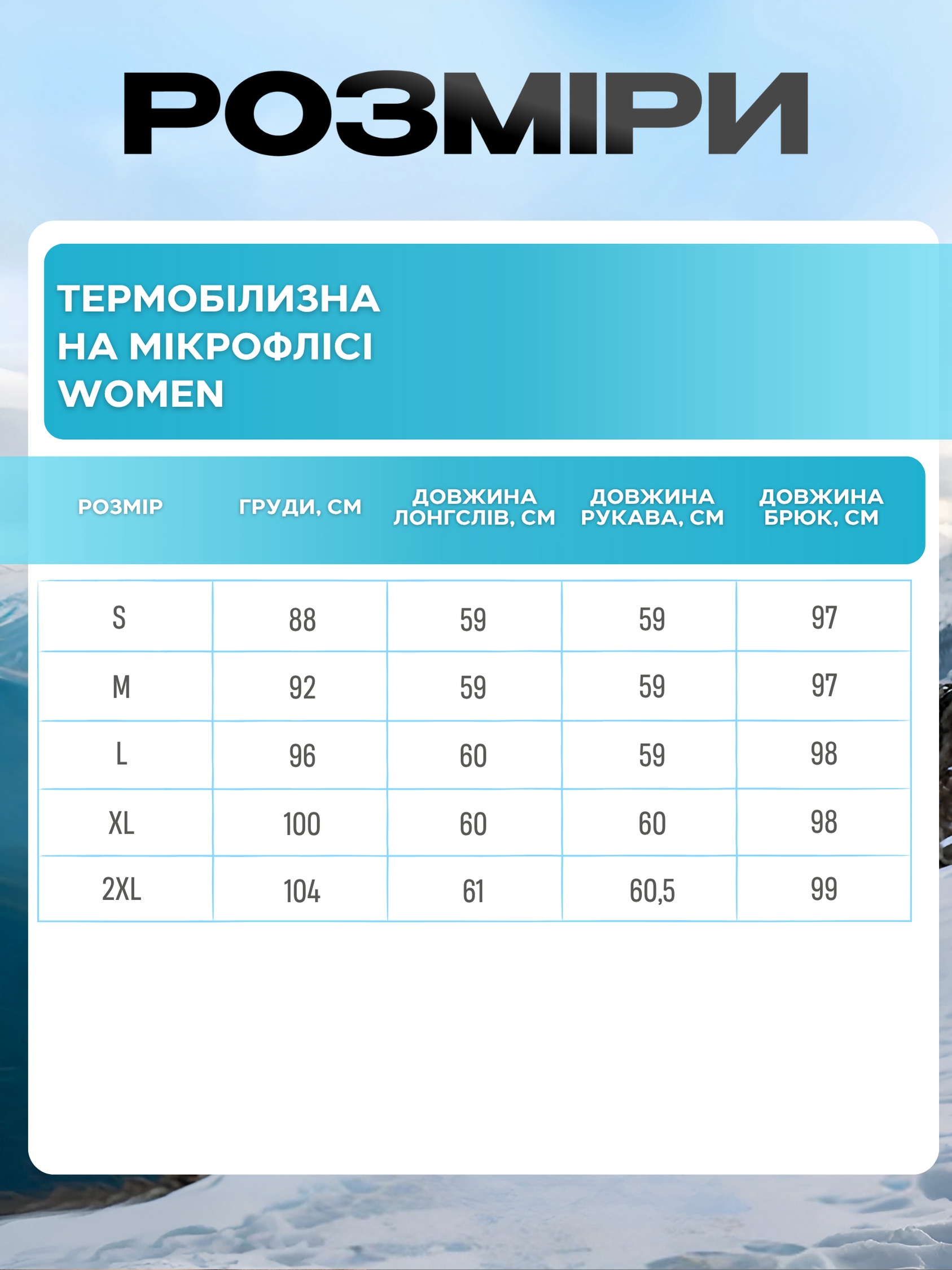 Термобелье женское на микрофлисе термолонгслив/термокальсоны L Черный (8199445108) - фото 3
