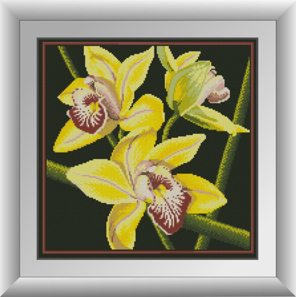 Алмазная мозаика Dream Art Желтая орхидея 41x41 см (DA.30412)