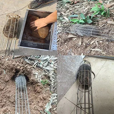 Ловушка для вредителей (Q00525) - фото 4 Ловушка для вредителей (Q00525) - фото 4