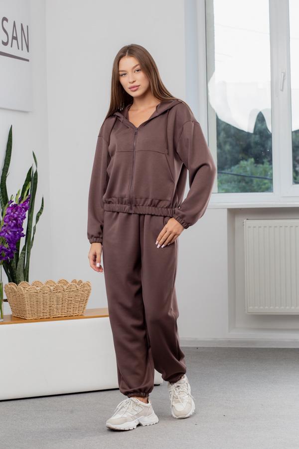 Спортивный костюм женский AKSAN зимний двойка XS Кофейный (25.2759_coffee_40(XS))