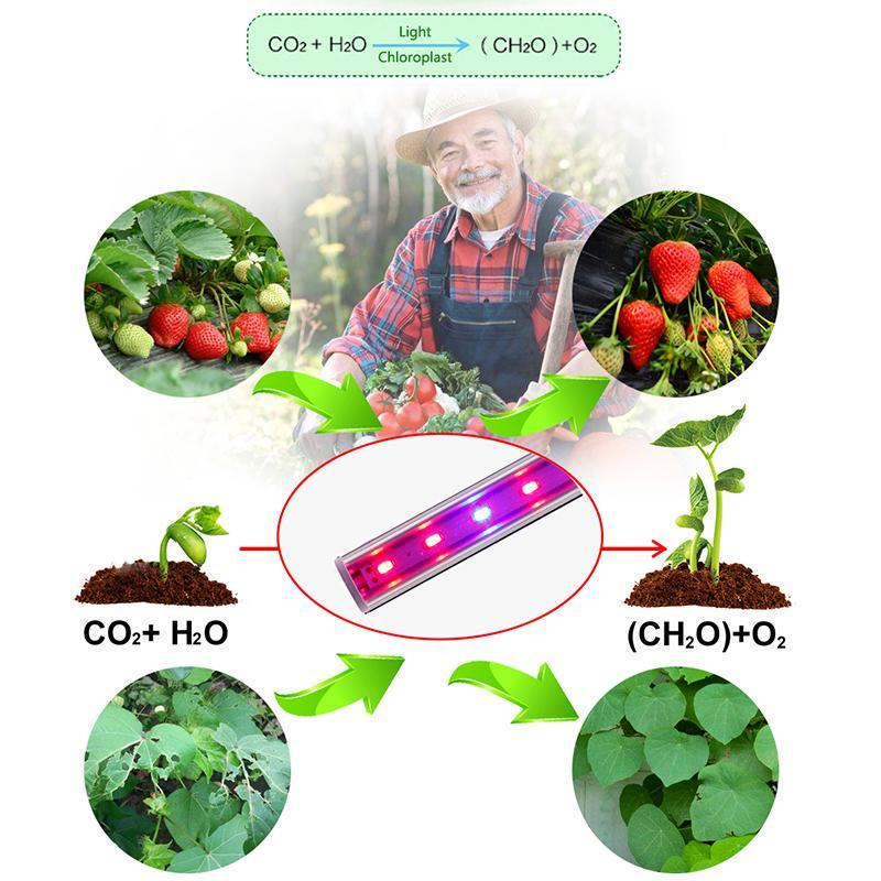Фитолампа трубчатая для выращивания растений 6W 220 В 30 см Красный/Синий (40_077) - фото 4 Фитолампа трубчатая для выращивания растений 6W 220 В 30 см Красный/Синий (40_077) - фото 4