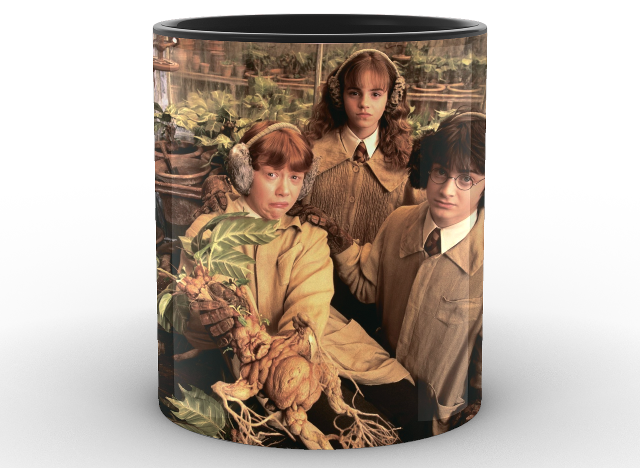 Чашка GeekLand Harry Potter 330 мл (HP.02.034)