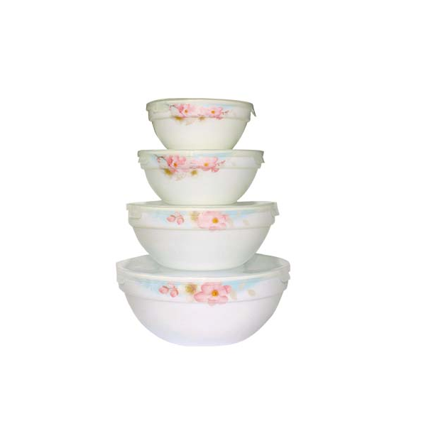 Набор салатников с крышкой SNT Сакура (MSN-30054-004)