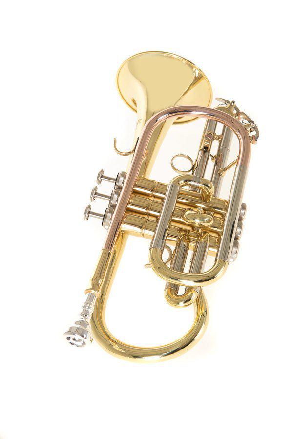 Корнет Roy Benson CR-202 Bb-Cornet (G-RB701090) - фото 6