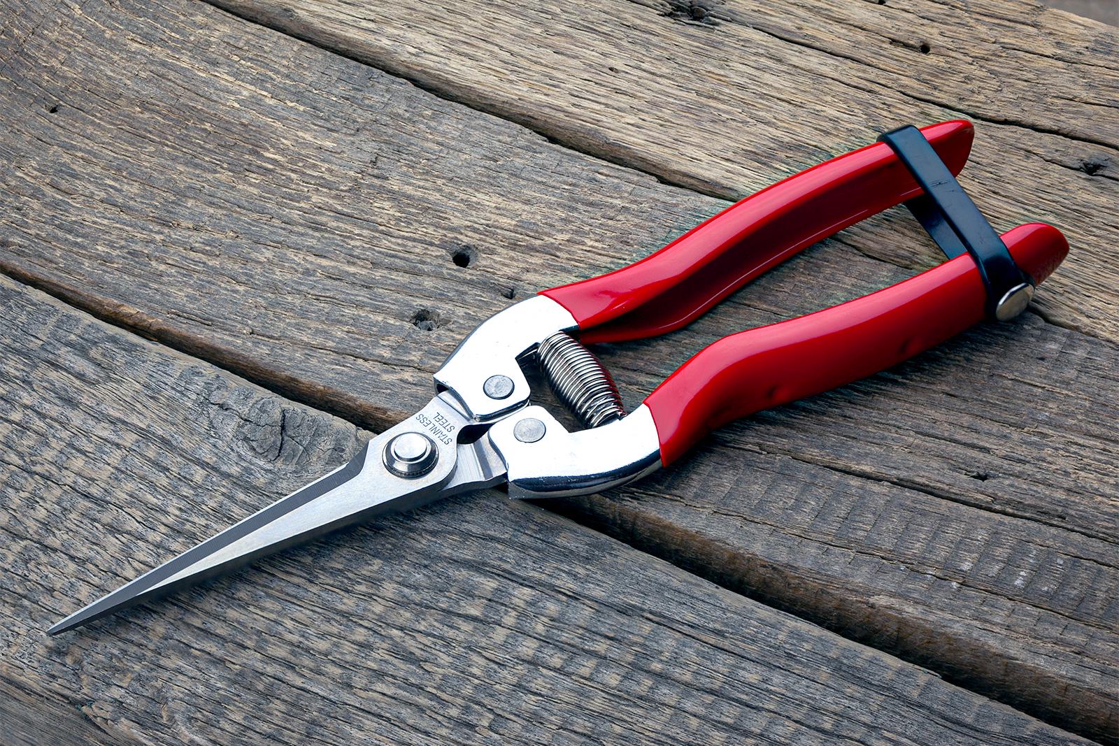 Ножиці садові Sagawata з нержавіючої сталі подовжені 205 мм (P-911Z_L) - фото 7 Ножиці садові Sagawata з нержавіючої сталі подовжені 205 мм (P-911Z_L) - фото 7