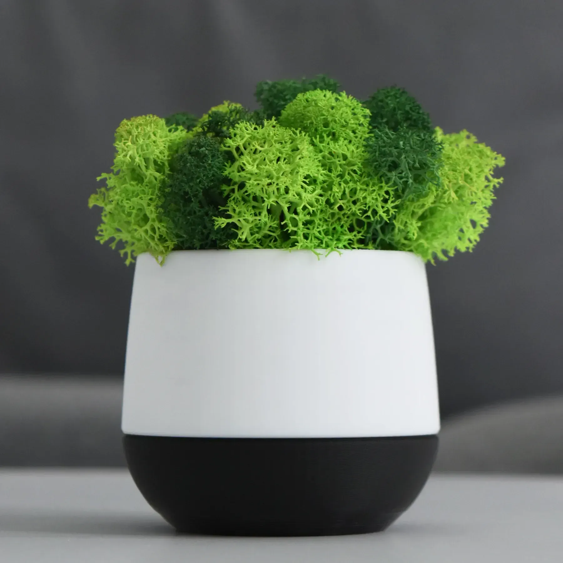 Кашпо Limo со стабилизированным мхом Черно-белый/Зеленый/Салатовый (KM-B-7)