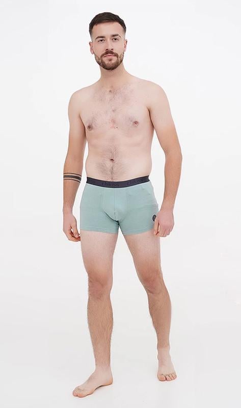 Трусы мужские шорти Chikiss L Изумрудный (CMH 202/04)