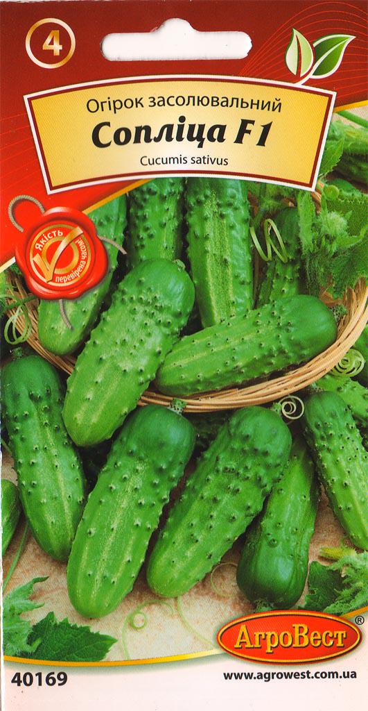 Насіння АгроВест огірок Сопліца F1 1 г (40169)