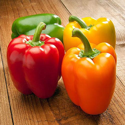 Семена Перець Florium Атлант (17071)