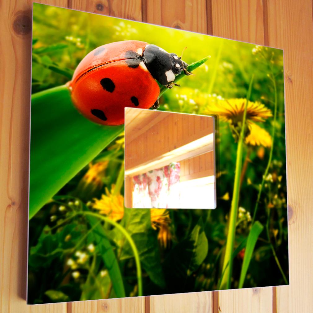 Зеркало декоративное Божья коровка 260х260 мм (M03853)