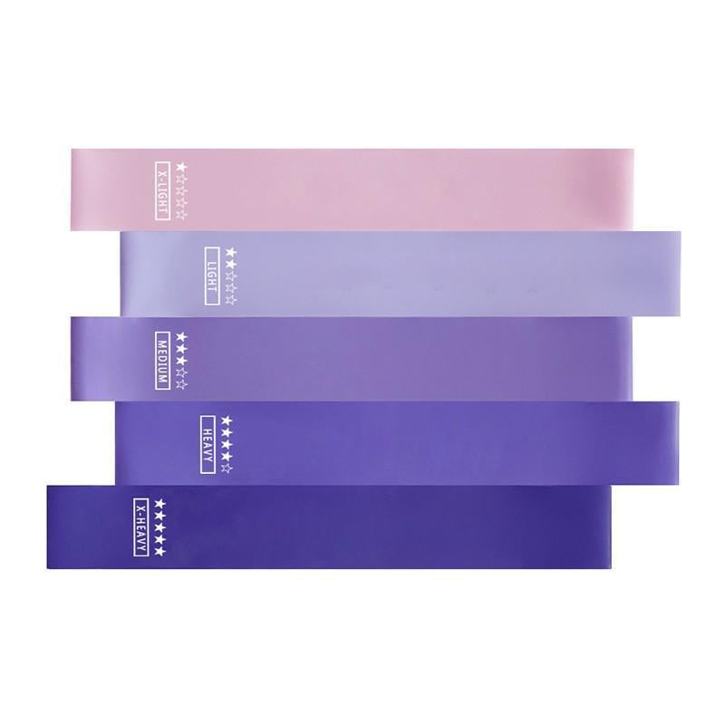 Фітнес гумки Loop Bands 5 шт. Фіолетовий (c0adff24)