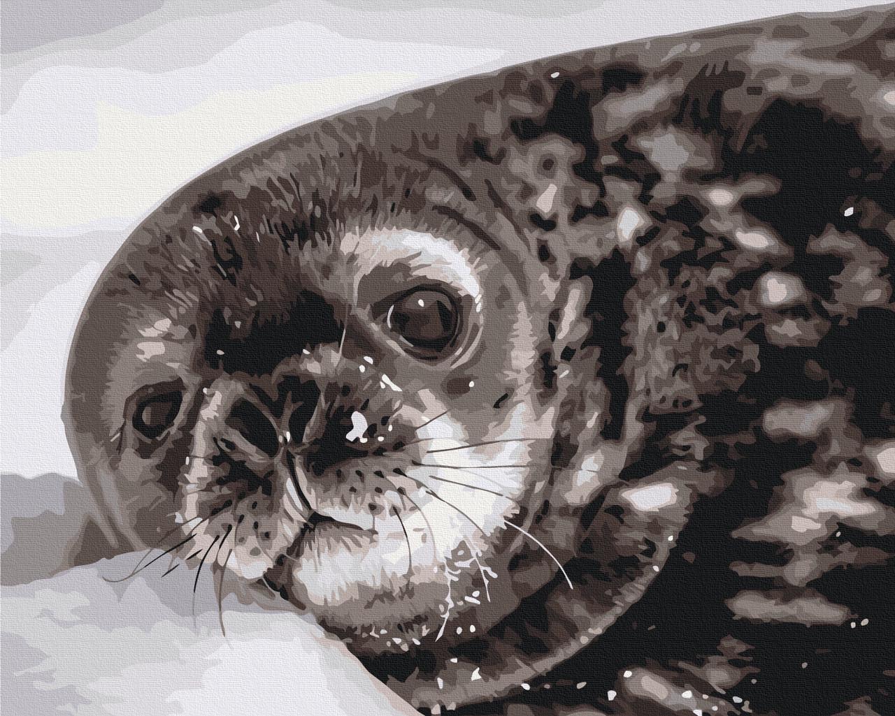 Картина по номерам Brushme "Тюленок " 40x50 см (BS54267)