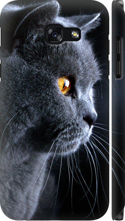 Чехол на Samsung Galaxy A5 (2017) Красивый кот (3038m-444-42517)