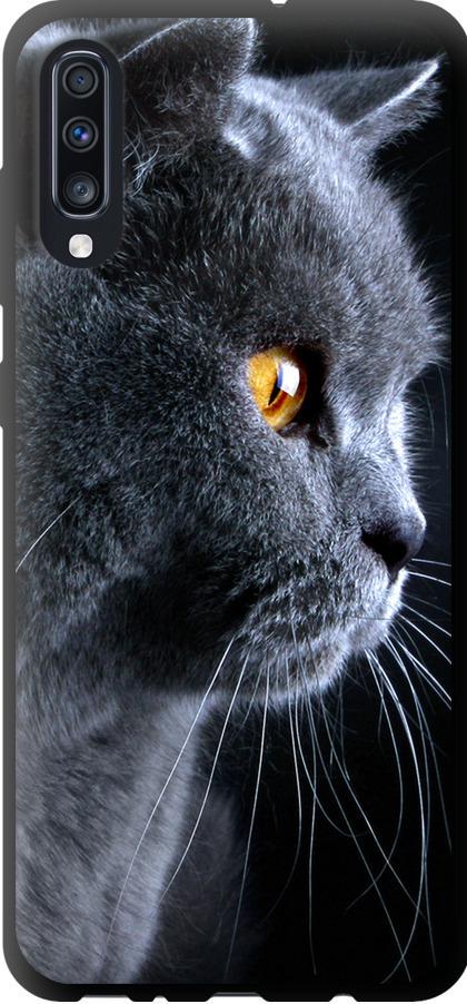 Чехол на Samsung Galaxy A70 2019 A705F Красивый кот (3038b-1675-42517)