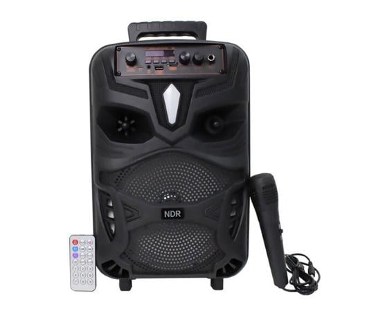 Колонка NDR-P55 Bluetooth с микрофоном и пультом (703138)