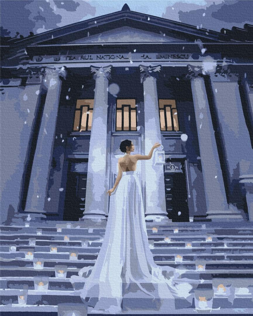 Картина по номерам Brushme Премиум Огни праздника 40x50 см (PBS52707)