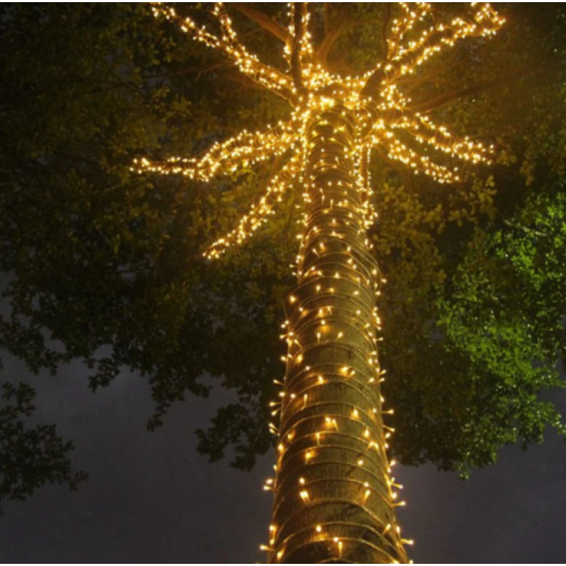 Гирлянда RD-7099 улица 100LED 10 м (10-14-13773)