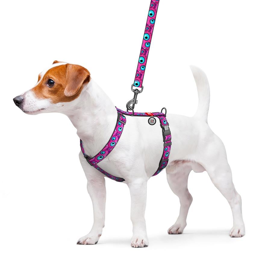 Шлейка для собак с QR-паспортом WAUDOG Nylon Глаз монстра пластиковый фастекс S 15 мм A 30-45 см/B 36-45 см Purple (343-4049) - фото 3