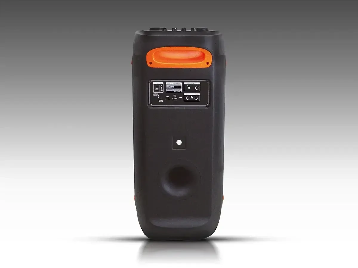 ᐉ Колонка акустическая ZXX-5509 на аккумуляторе с микрофоном 1200