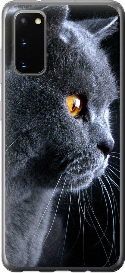 Чехол на Samsung Galaxy S20 Красивый кот (3038t-1824-42517)