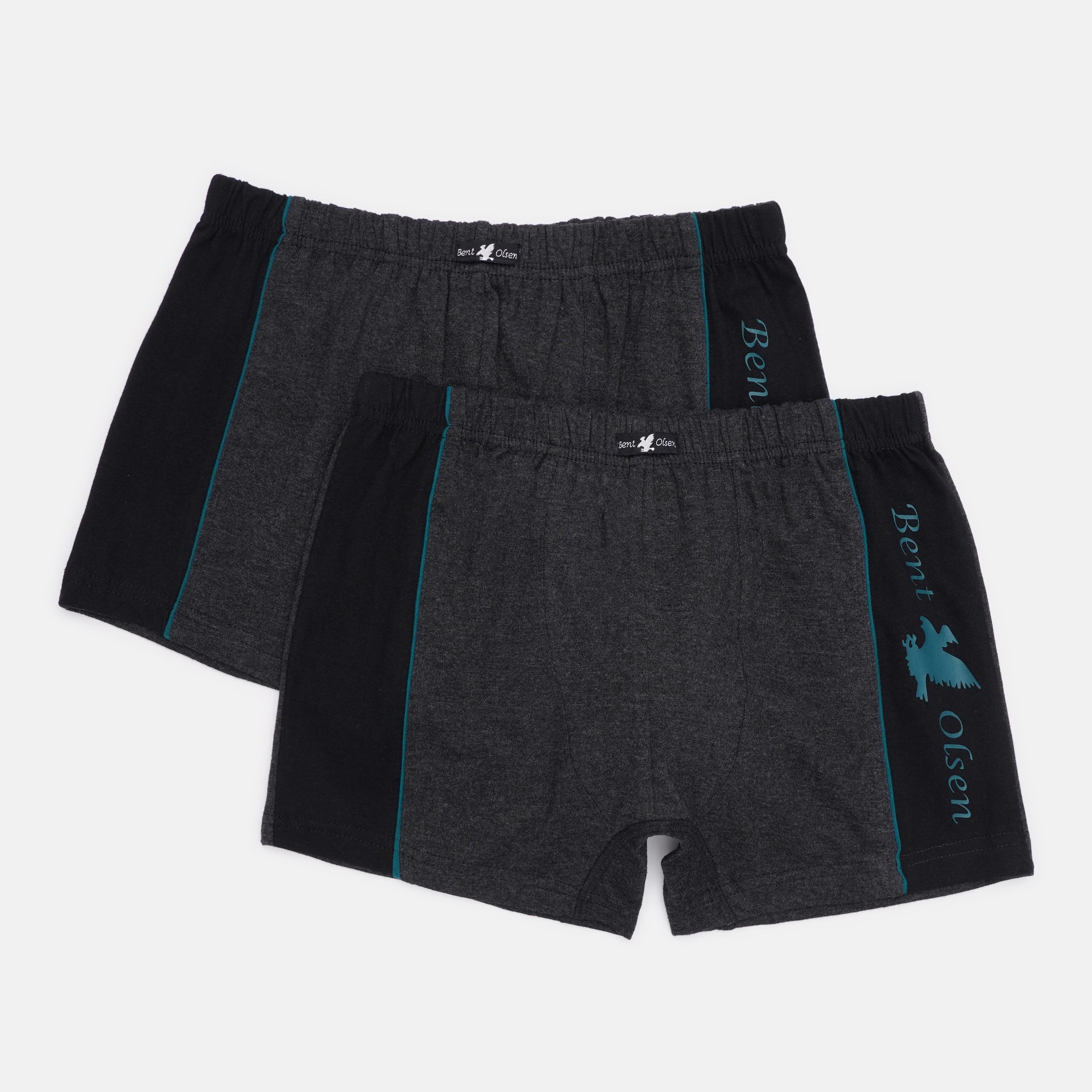 Труси BentOlsen смужка 2 шт. XL Сірий/Зелений (374121)