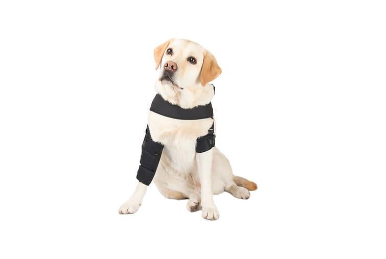 Бандаж для собак Frakishtak поддержка локтевого сустава на праву лапу L Черный (28436723) - фото 4 Бандаж для собак Frakishtak поддержка локтевого сустава на праву лапу L Черный (28436723) - фото 4