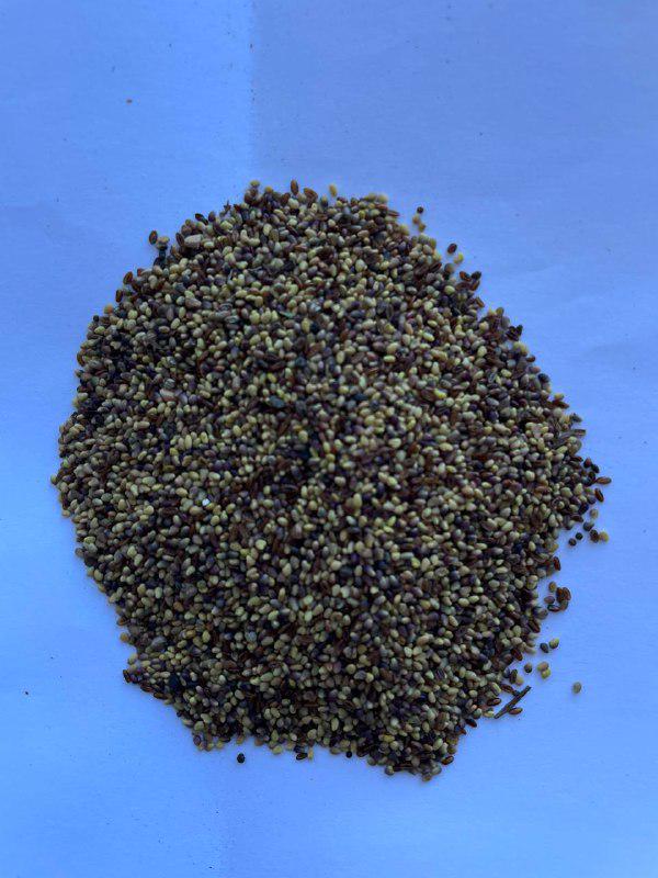 Конюшина 1 кг (24381636)