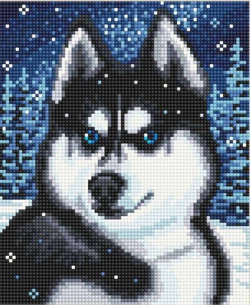 Алмазна вишивка Сибірський хаски повна викладка 5D 23x30 см (1566861981)