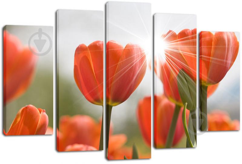 Модульная картина из 5 частей Декор Карпаты 120х80 см (PLM5 421) Модульная картина из 5 частей Декор Карпаты 120х80 см (PLM5 421)