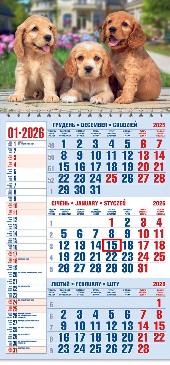 Календар на 2026 р. Офісний 1 Кокер Спаніель