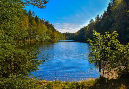 Картина на холсте Природа 30х40 см (PR245)