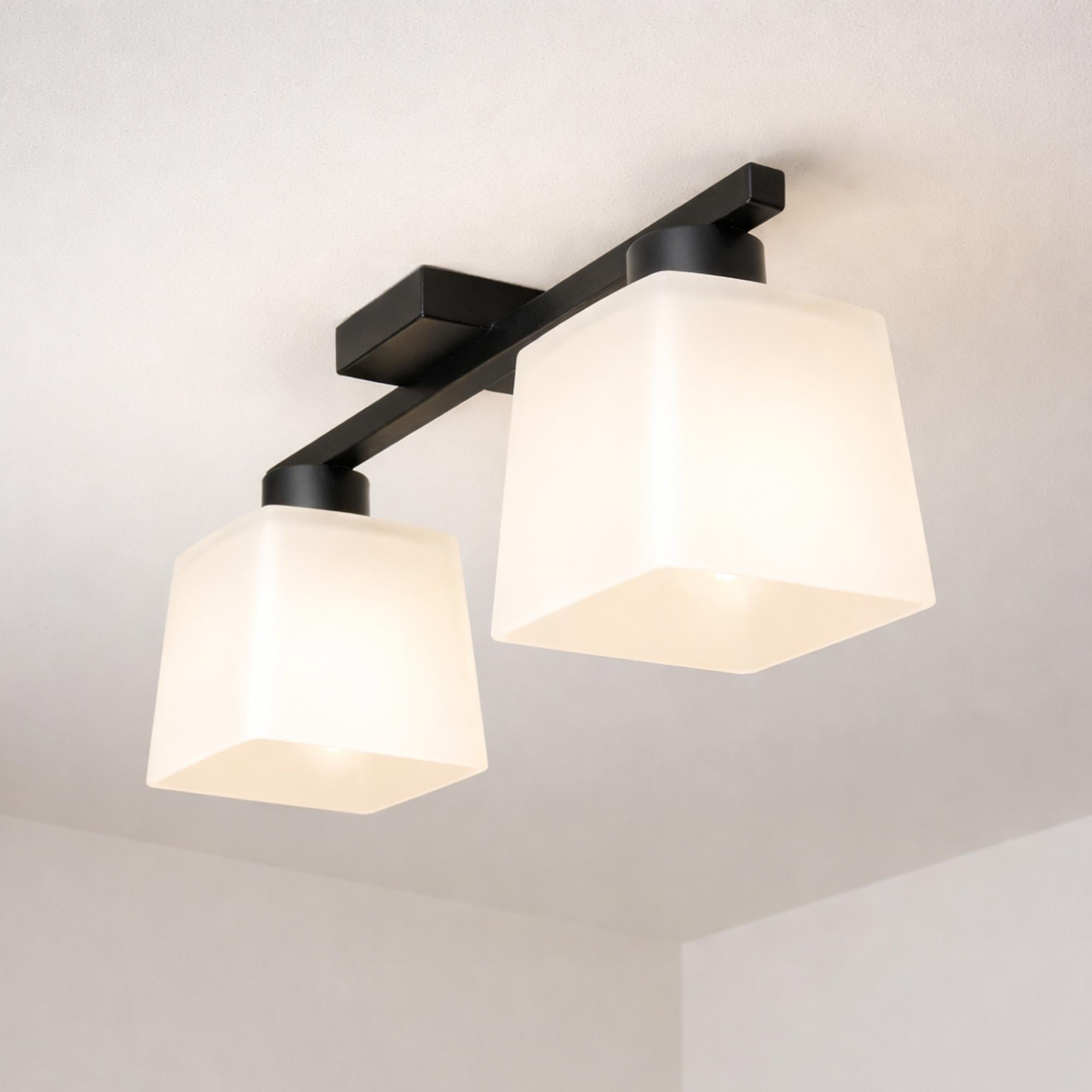 Люстра MSK ELECTRIC Sakura на два плафона под лампы Е27 Черный (NL 16510-2 BK)