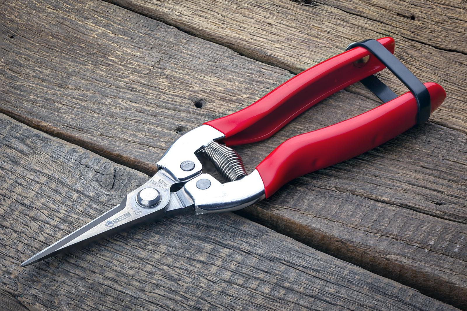 Ножиці садові Sagawata з нержавіючої сталі 187 мм (911) - фото 8 Ножиці садові Sagawata з нержавіючої сталі 187 мм (911) - фото 8