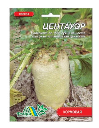 ᐉ Семена кормовой свеклы Центауэр серо-белый цилиндрический ...