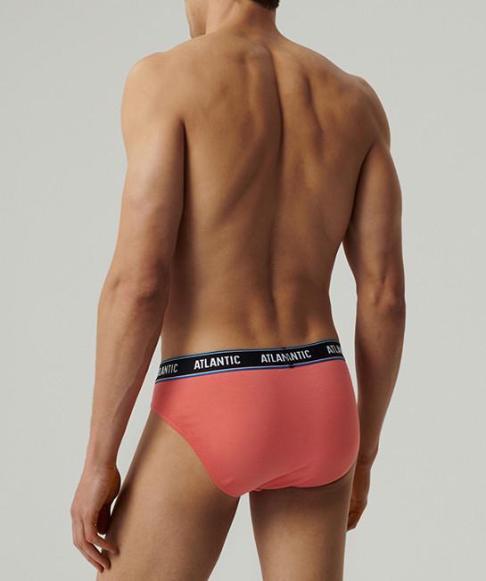Набор трусов-брифов мужских Atlantic 3MP-200 хлопчатобумажных L 3 шт. Темно-синий/Серый/Коралловый (27565566) - фото 3 Набор трусов-брифов мужских Atlantic 3MP-200 хлопчатобумажных L 3 шт. Темно-синий/Серый/Коралловый (27565566) - фото 3