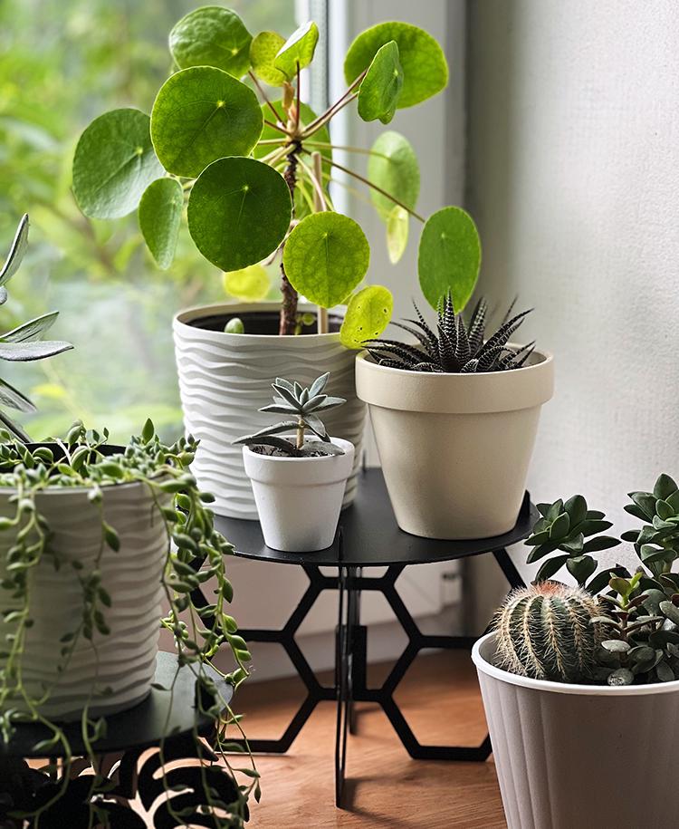 Подставка металлическая для вазонов NC Home Stand Черный (110399) - фото 3 Подставка металлическая для вазонов NC Home Stand Черный (110399) - фото 3