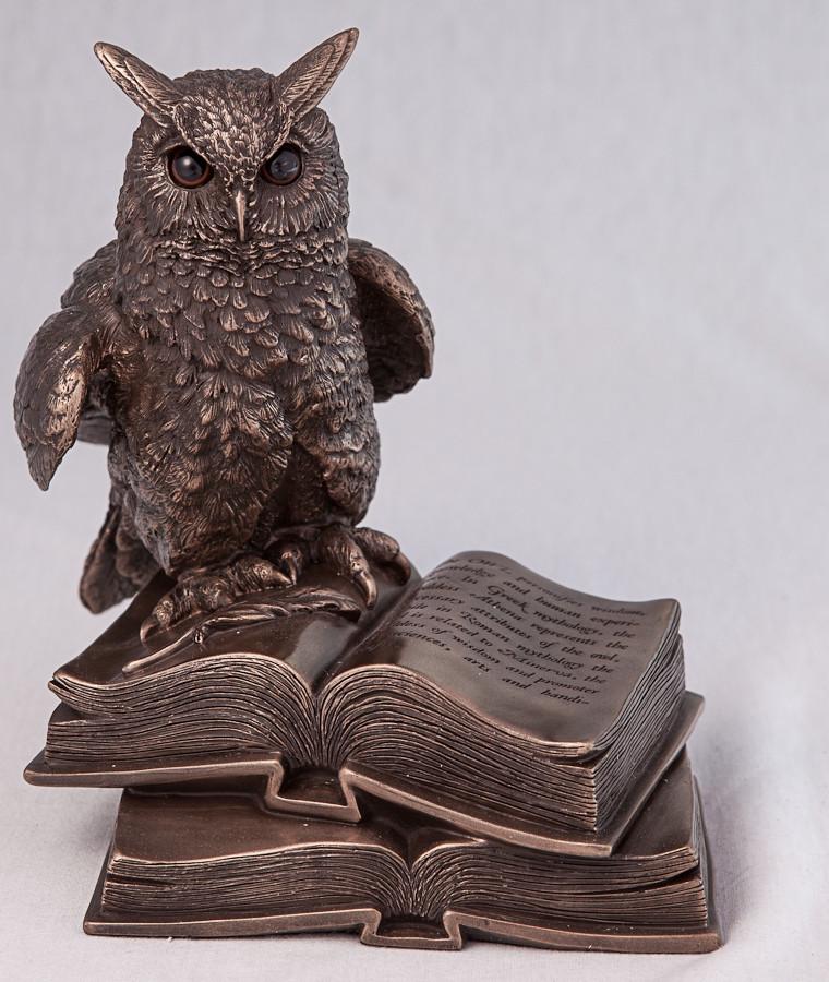 Статуетка Veronese Сова Мудрості 17 см (74110A4)