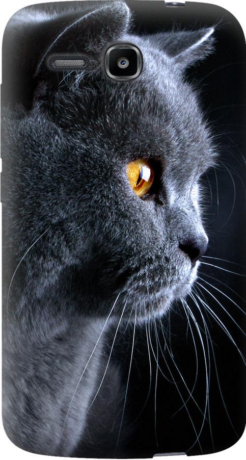 Чехол на Huawei Ascend Y600 Красивый кот (3038u-486-42517)